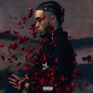 亚洲精品自拍偷拍视频
